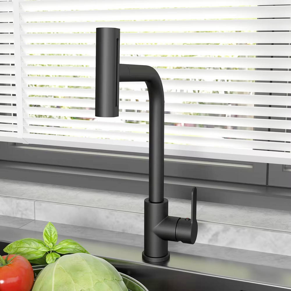 Black Pull Out Kitchen Sink Fa - Commercial Kitchen Mixer Tap review and price