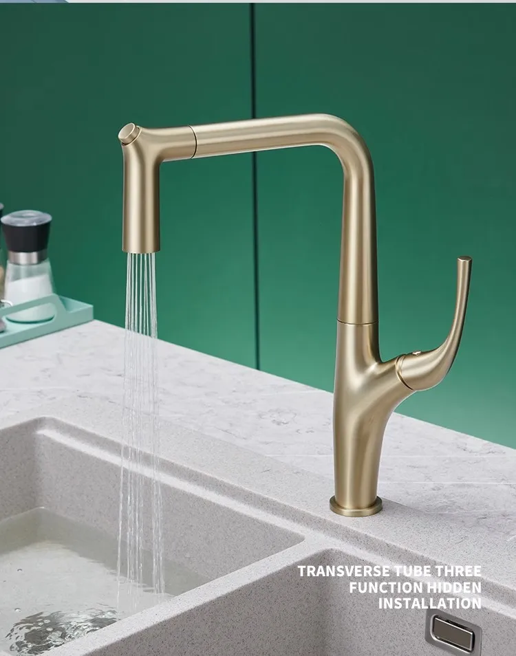 Pull Out Water Filter Tap Bras - Commercial Kitchen Mixer Tap review and price